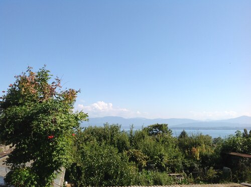 Auberge de Dully, Book Hostel / Vandrerhjem Hostels i Vaud, Hostel / Vandrerhjem
