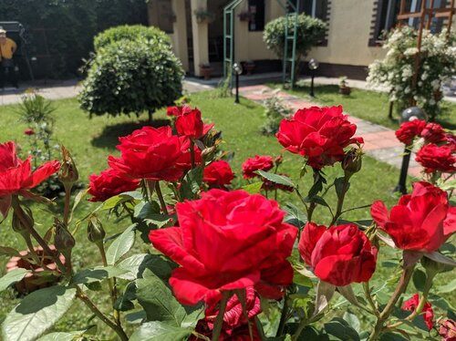 Tihaya Gavan Guest House, Book Pension Kaliningrad Kaliningrad oblast