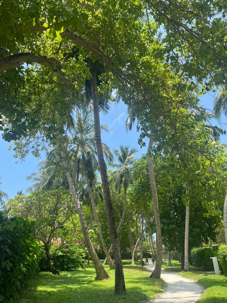 Club Med Kani
