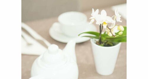 Da Molly, Забронировать Отель «постель и завтрак» Giuliano-Dalmata Рим