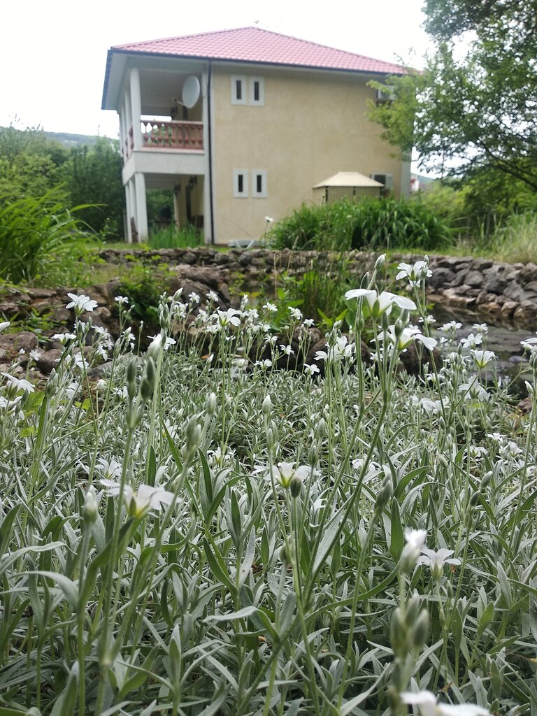 Коттедж Уютный Домик