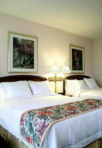 Courtyard by Marriott New Orleans Metairie, Prenota Hotel Hotel a Missouri con piscina, Piscina