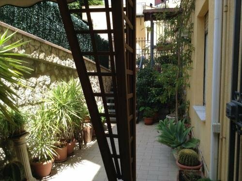 Il Mandorlo