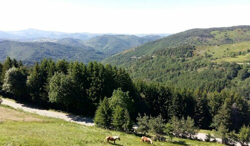 Hotel des Cevennes, Book Hotel Hoteller i Rhône-Alps med parkering, Parkering