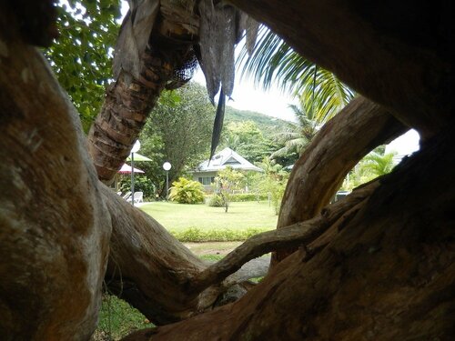 Cote d'Or Footprints, Boek Vakantiehuis Baie Sainte Anne Praslin-eiland, in de buurt van Anse Volbert Beach