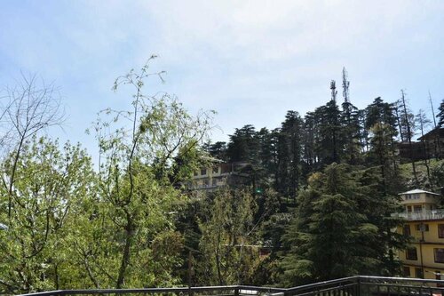 Hotel Misty Woods, Забронировать Отель Недорогие отели Дхармсала, недорого
