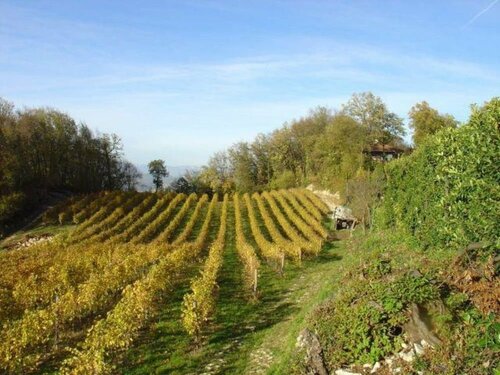 Tenuta Maraveja 1462, Забронировать Отель Брендола Венето