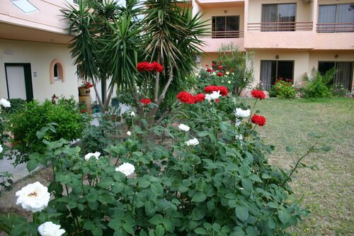 Lyristis Dinos Studios & Apartments