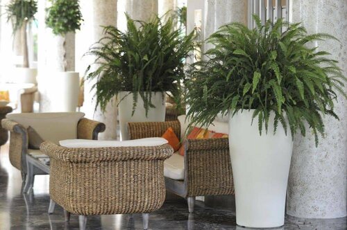 American Hotel, Book Hotel Hoteller i Friuli Venezia Giulia med parkering, Parkering