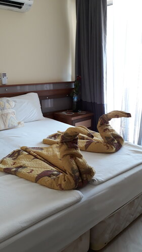 Kemer Grand Viking Resort Hotel All-Inclusive, Забронировать Отель Отели Средиземноморского региона с парковкой, Парковка