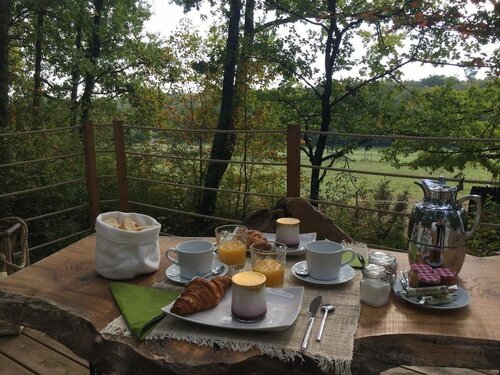 Les Bulles De Bordeaux, Reserva ahora Bed & breakfast Hoteles en Aquitania con desayuno, Desayunos