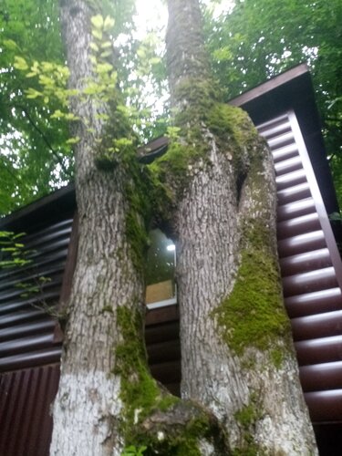 Olimp, Prenota Base turistica Inal Tuapsinsky District