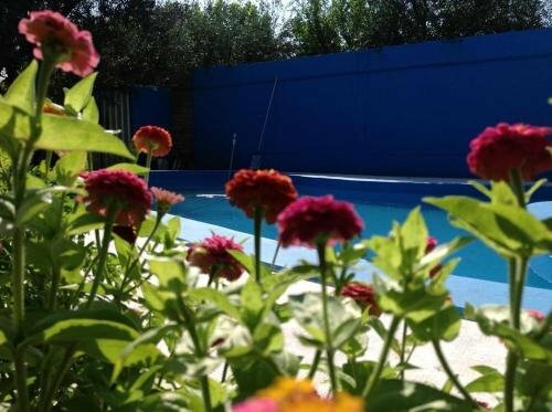 Cabañas Calderón I, Réserver Hôtel San Rafael Mendoza