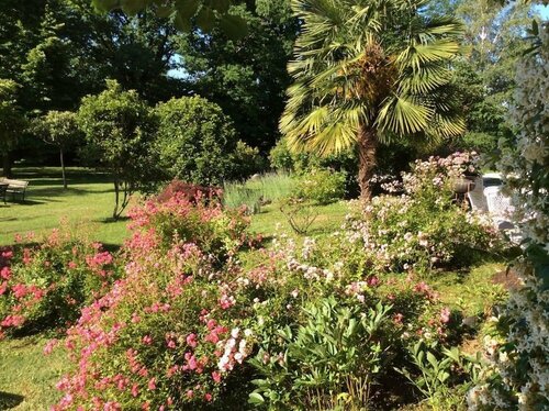 B&B Le Querce, Book Bed and Breakfast Hoteller i Udine Area med pool, Swimmingpool