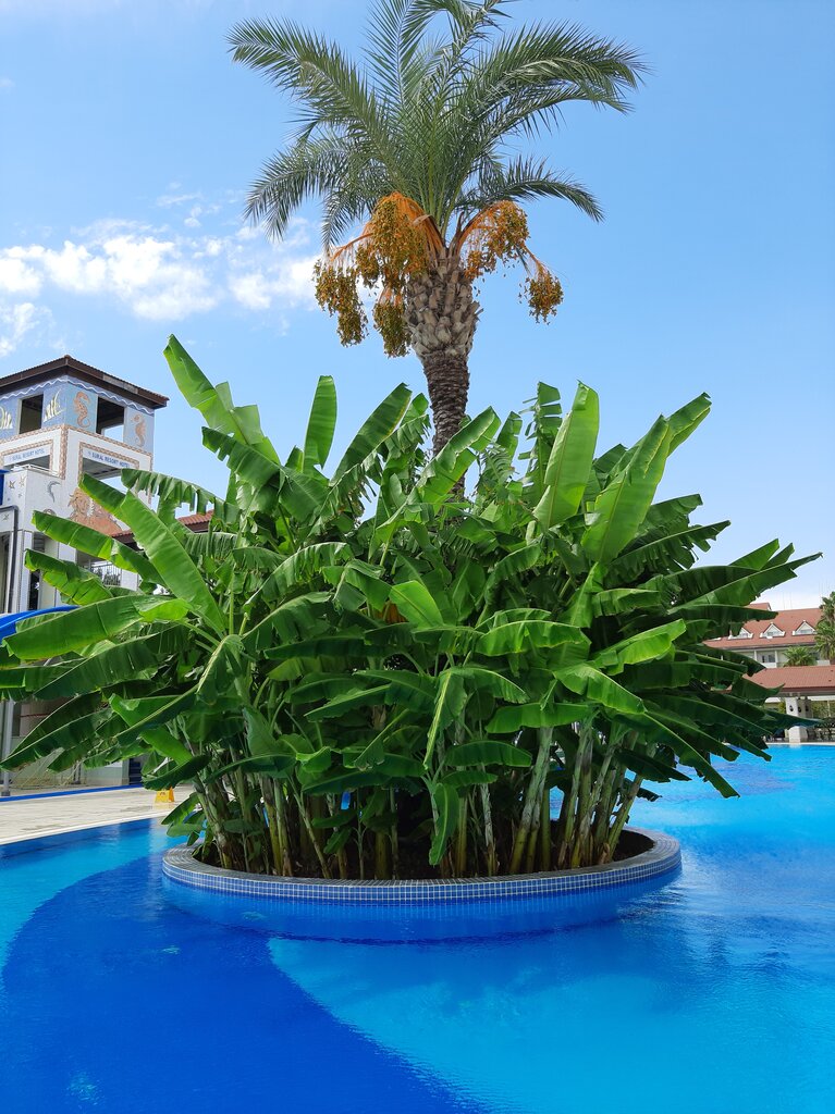 Sural Resort Hotel
