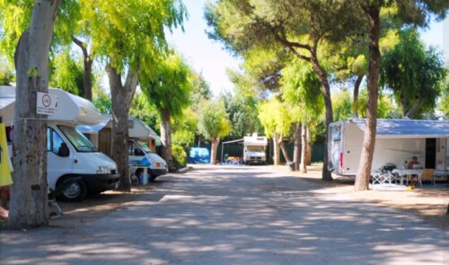 Intercamping Apollo, Забронировать Кемпинг Кемпинги и глэмпинги Капаччо-Пестум, Кемпинг