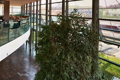 Hotel Cruise, Buchen Sie Hotel Montano Lucino Lombardei