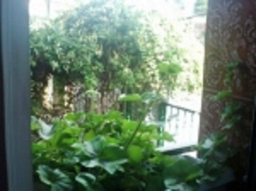 Shans 2 Hostel, Rezervasyon Pansiyon / Hostel Sofya hosteller, Pansiyon / Hostel