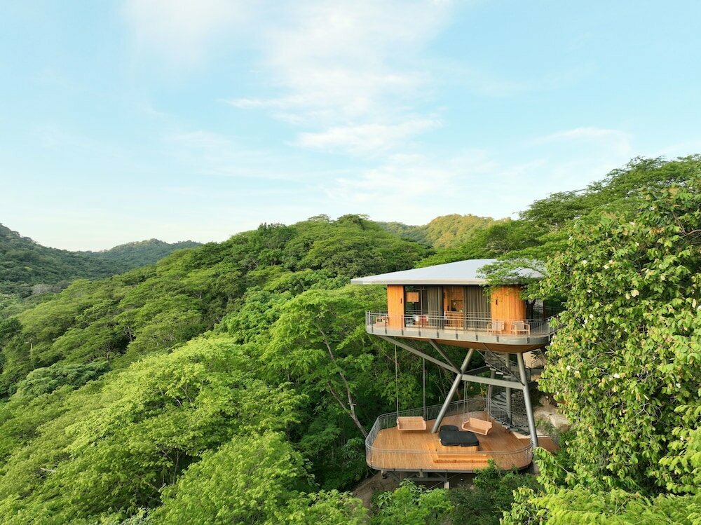 Suitree Experience Hotel