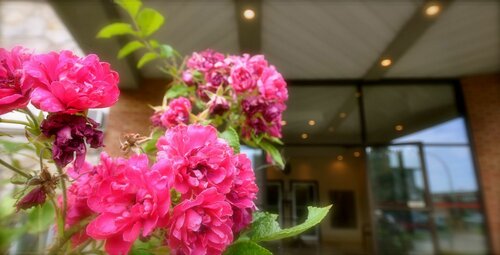 Beausejour Apartments - Hotel Dorval, Reservar Apartamento Dorval Island Quebec