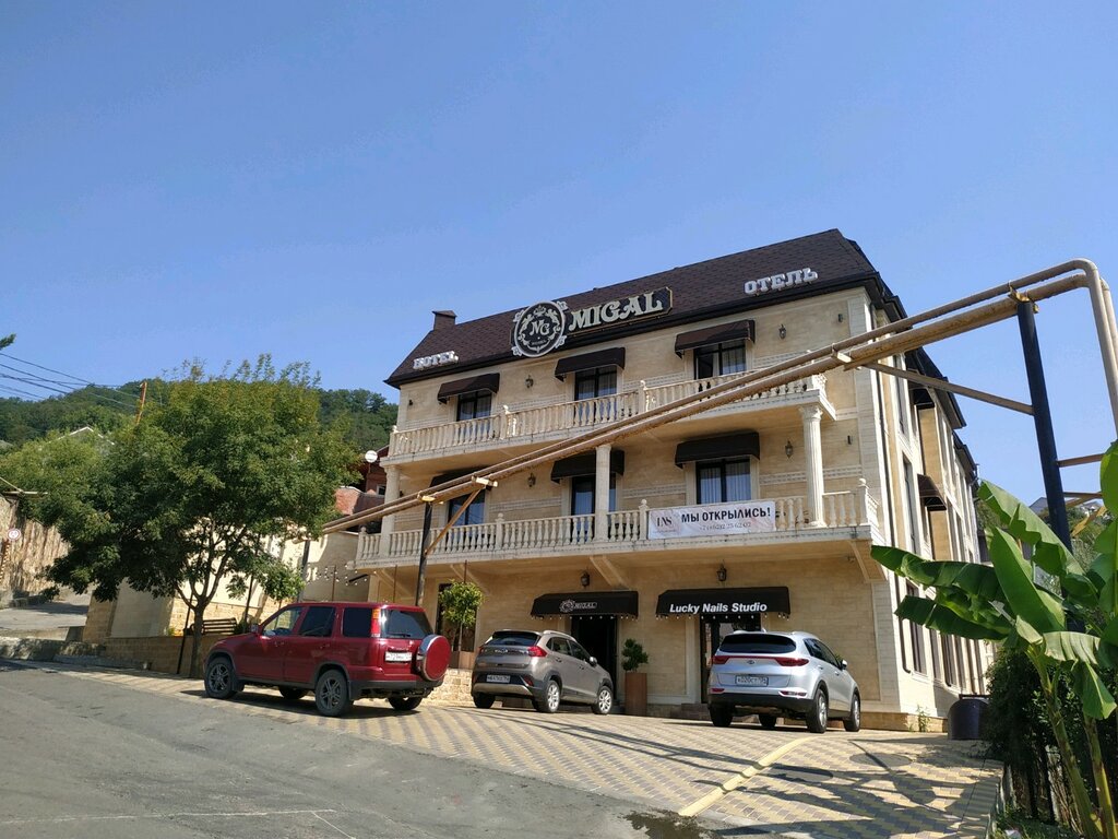 MiGal