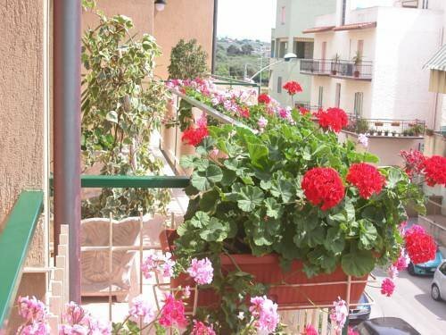 Villa Paradise, Забронировать Вилла Коттеджи Sardinia North, Коттедж