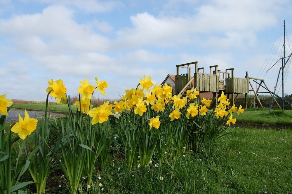 Ballyrusley B&B