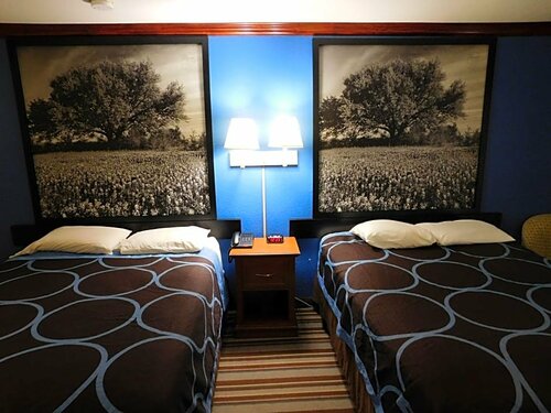 Super 8 by Wyndham San Marcos, Prenota Locanda San Marcos Texas Hill Country