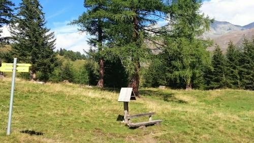 Santner alpine tauern living, Забронировать Апартаменты/квартира Отели Фирген с бассейном, Бассейн