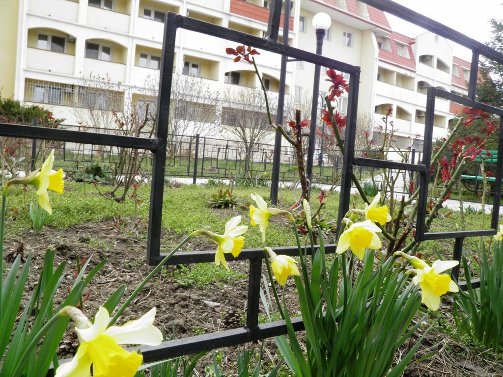 Пансионат Феодосия