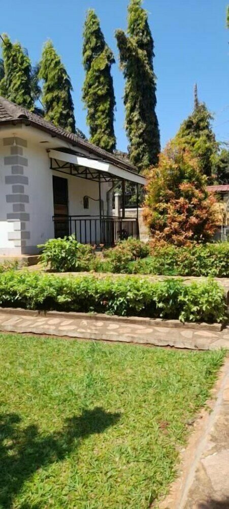 Aivilo Home