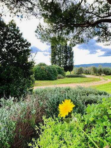 Tenuta Agricola Fraschiera, Book Landbrugsophold Hoteller i Massa Marittima med morgenmad, Morgenmad