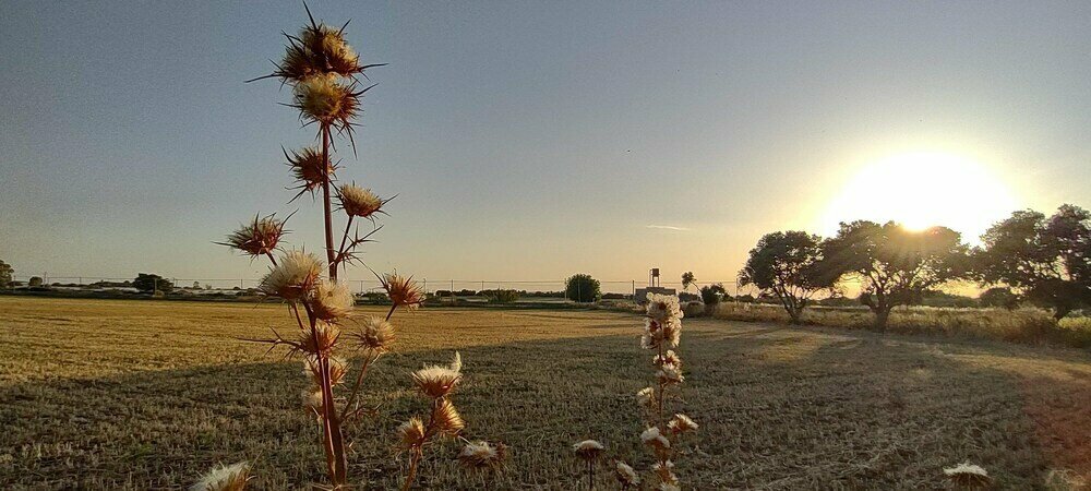 Casale Balate