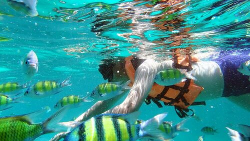 Phi Phi Holiday Resort – SHA Extra Plus, Забронировать Курортный отель Отели Пхи-Пхи-Дон с завтраком, рядом с Пляж Нуи, Завтраки