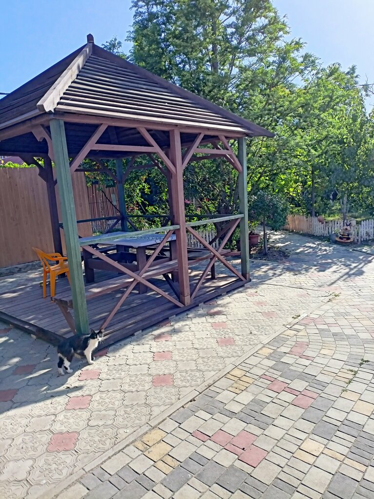 Летящая по волнам