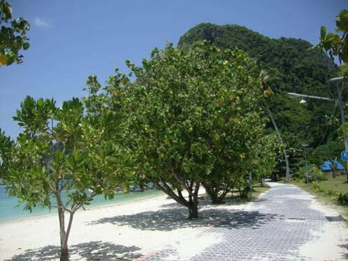 Phi Phi Sand Sea View Resort, Забронировать Курортный отель Недорогие отели провинции Краби, недорого