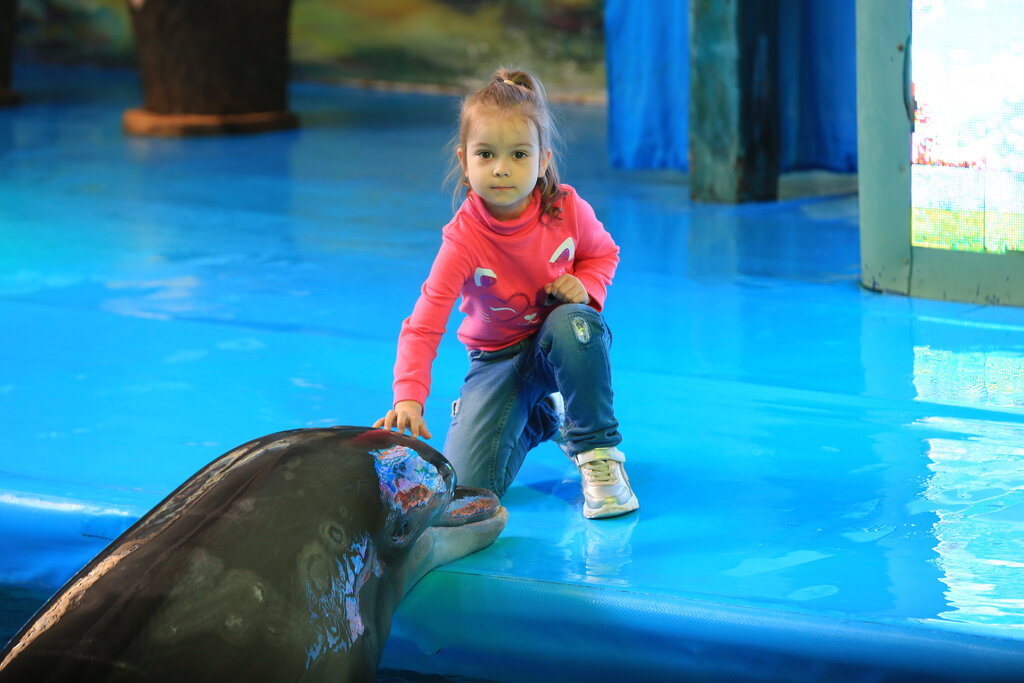 Dolphin Planet Hotel&SPA4