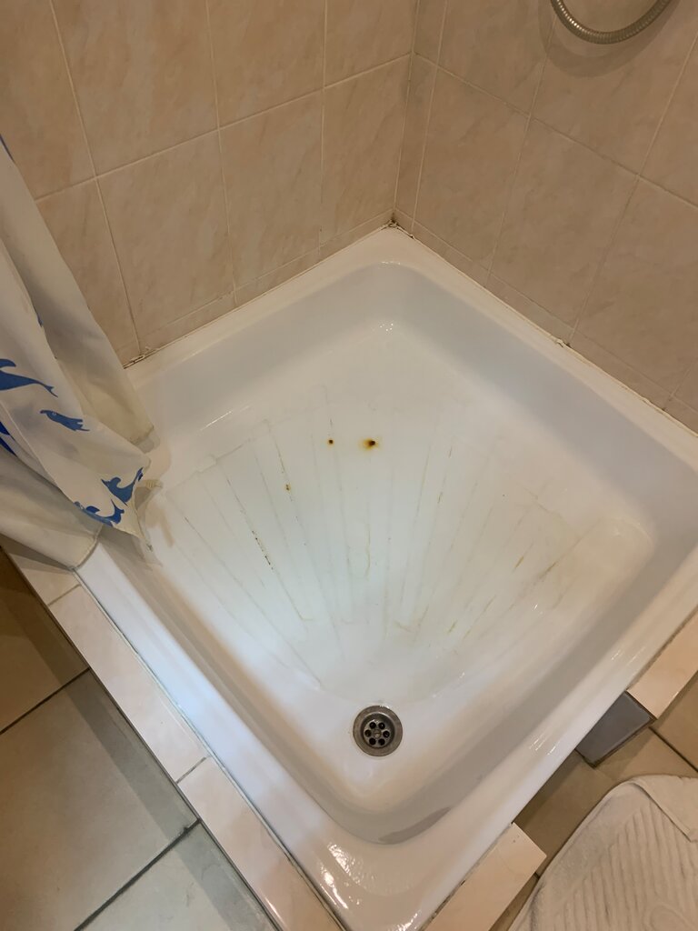 Феста