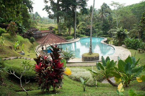 Yeh Panes Resort, Book Ferieresort Penebel Tabanan