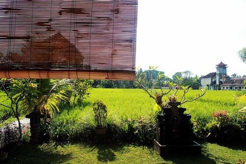 Bening Bungalow, 预订 酒店 乌布 吉亚尼亚尔