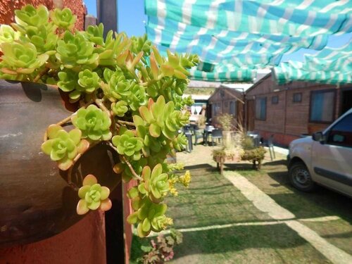 Hostal del Suri, Reserva ahora Albergue Cafayate 