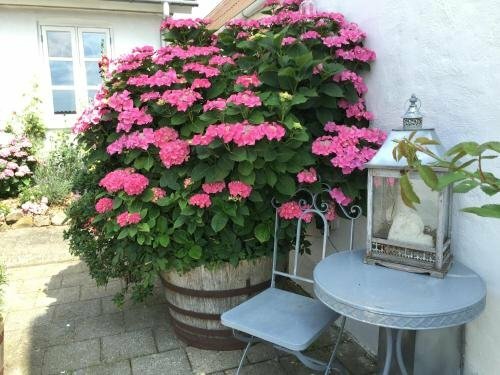 Vejle Golf Bed & Breakfast