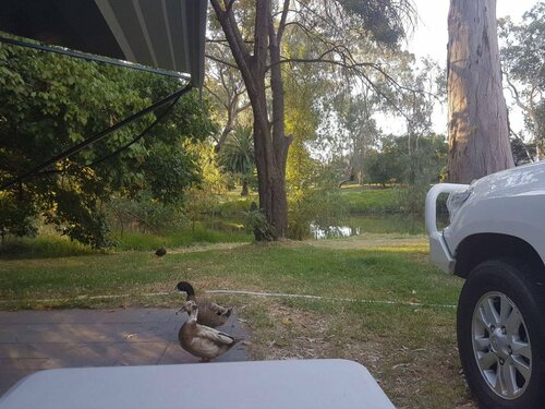 Euroa Caravan Park, Boek Vakantiehuis Euroa Victoria