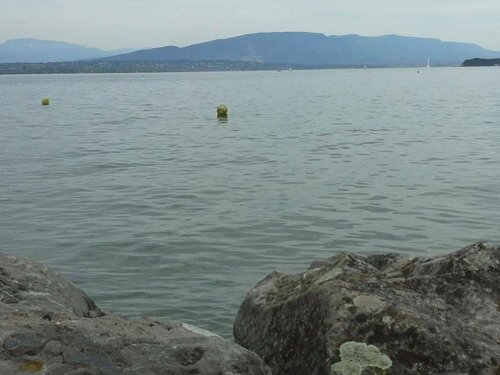 BnB "Les Coquelicots", Boek Bed and Breakfast Hotels in Vaud met ontbijt, Ontbijt