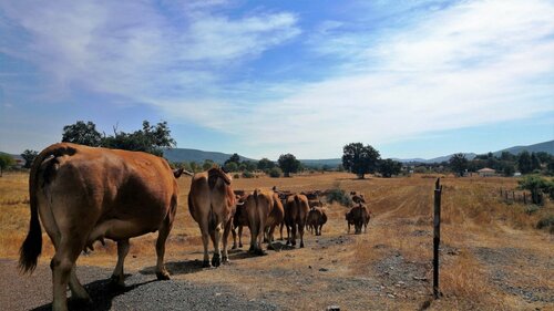 La Fuente Gorda, Book Hotel Hoteller i Castilla-La Mancha med parkering, Parkering