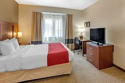 Comfort Inn & Suites San Francisco Airport West