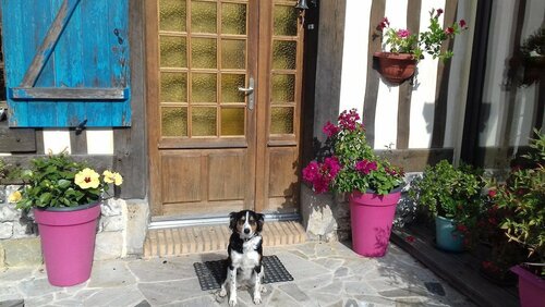 Chez Catherine - Chaumière Normande, Забронировать Отель Недорогие отели Верхней Нормандия, недорого