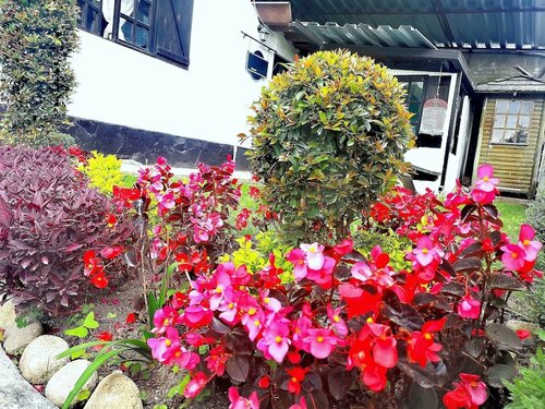 Hotel Villa Nancy, Varaa Hotelli La Floresta 