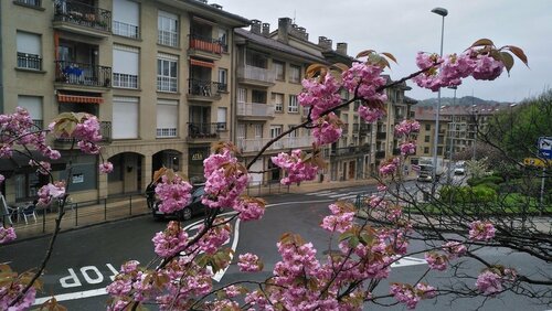 Apartamentos Museum Zarautz, Забронировать Апартаменты/квартира Отели Сараус с парковкой, Парковка