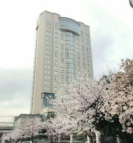 Xiongchu International Hotel, Prenota Hotel Hotel SPA a Hubei, SPA